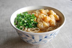 scrumptious foods - food pictures - tempura soba.jpg